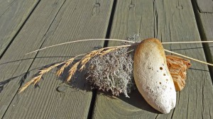 Dänemark   