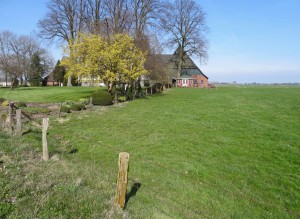 Fröhjohr 003 - Fröhjohr in Sicht    