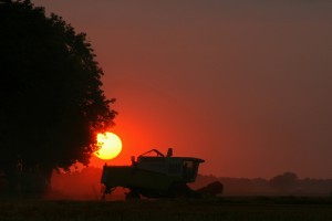Sommer 001 - Nu geiht dat op'n Rest      